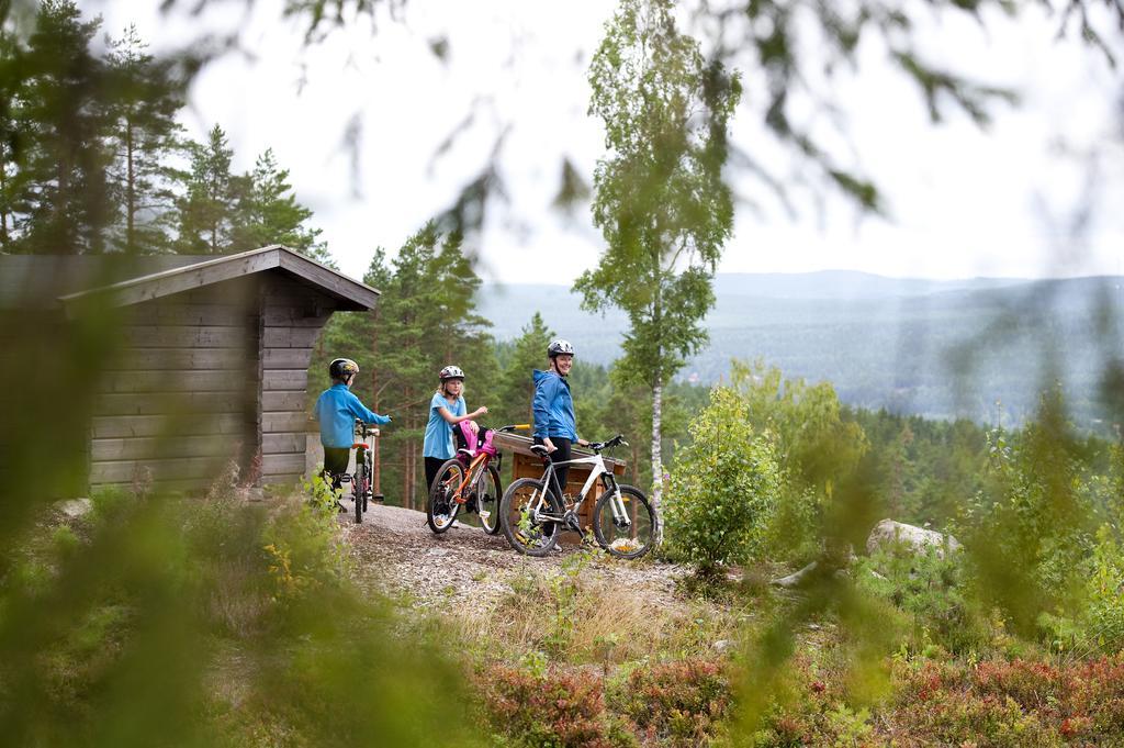 First Camp Lugnet-פאלון מראה חיצוני תמונה